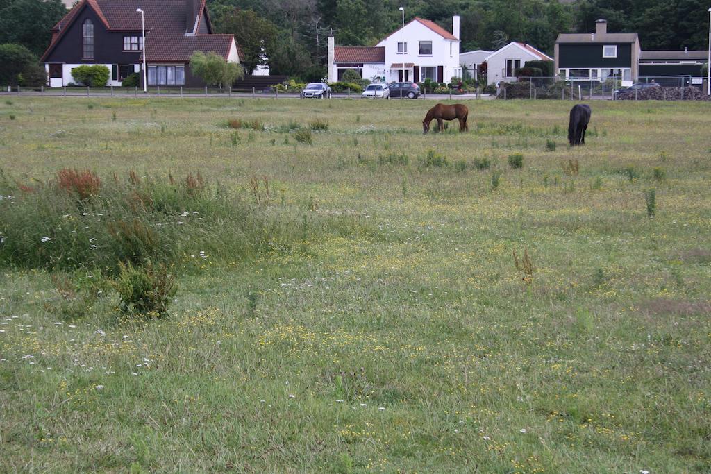 Villa 'T Haasduin Wijk aan Zee Exterior foto